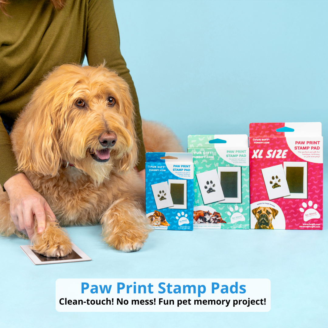 4 Pack of Plus Size Paw Print Stamp Pads