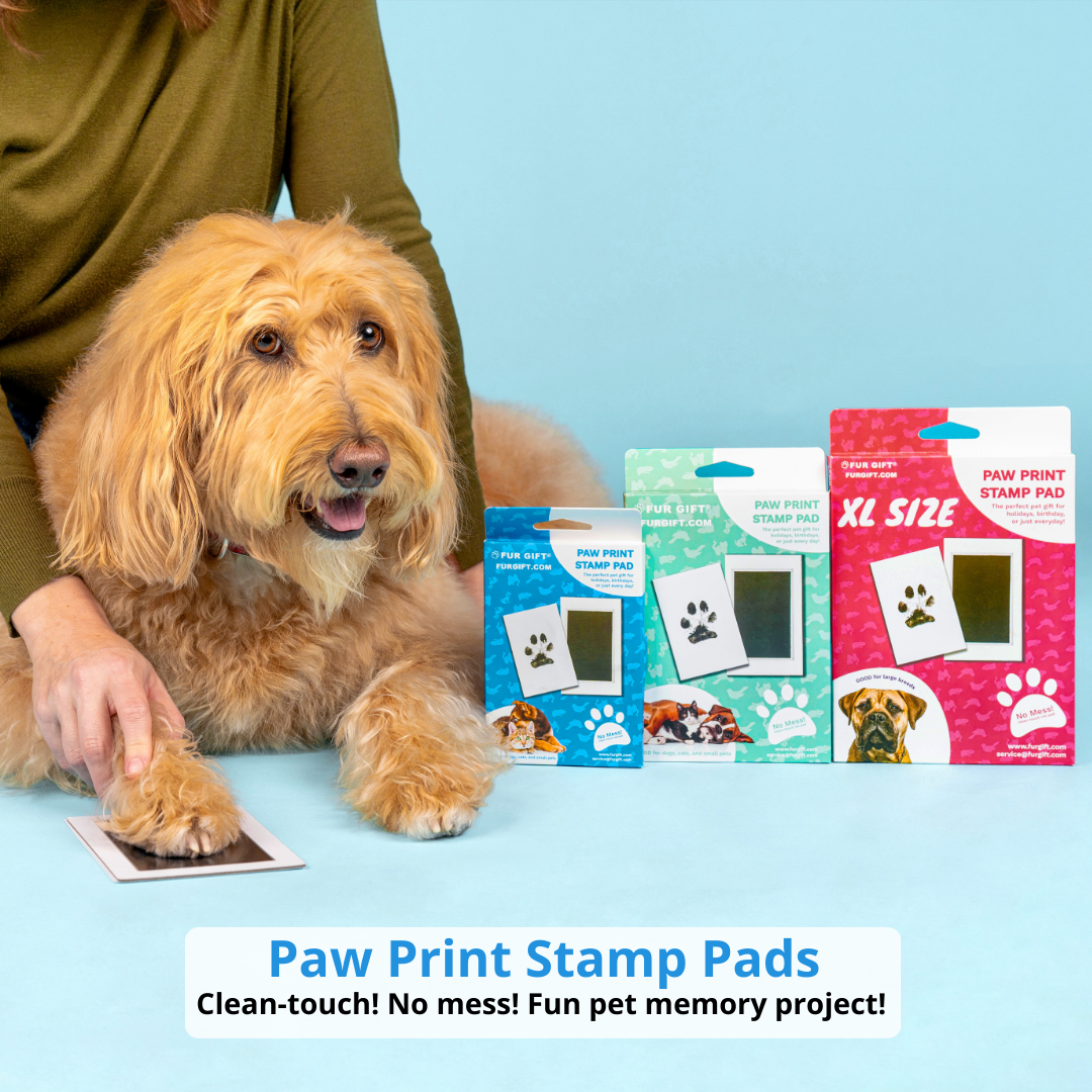 XL Paw Print Stamp Pads