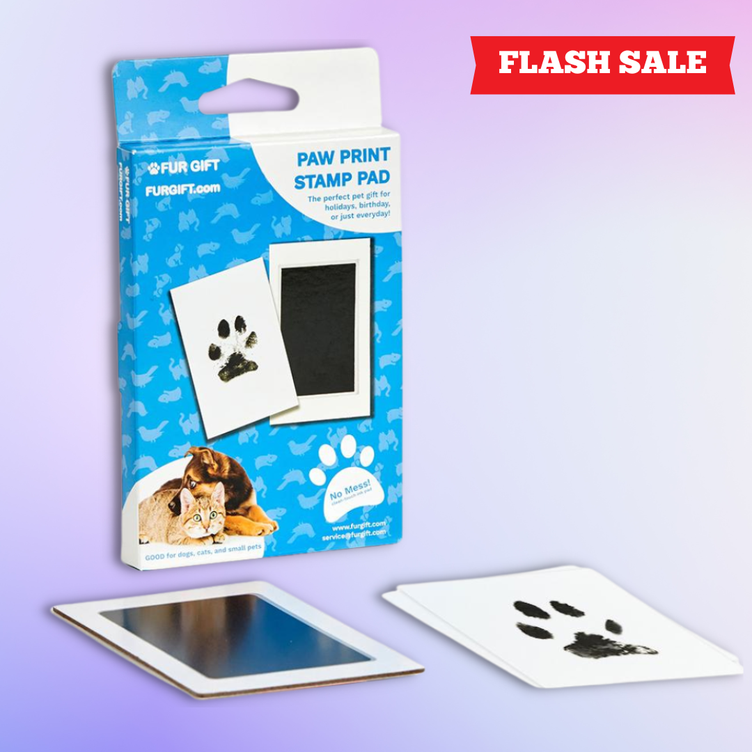 Paw Print Stamp Pads