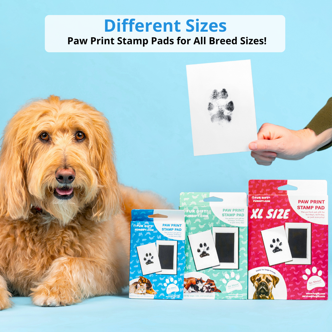 6 Pack of Plus Size Paw Print Stamp Pads