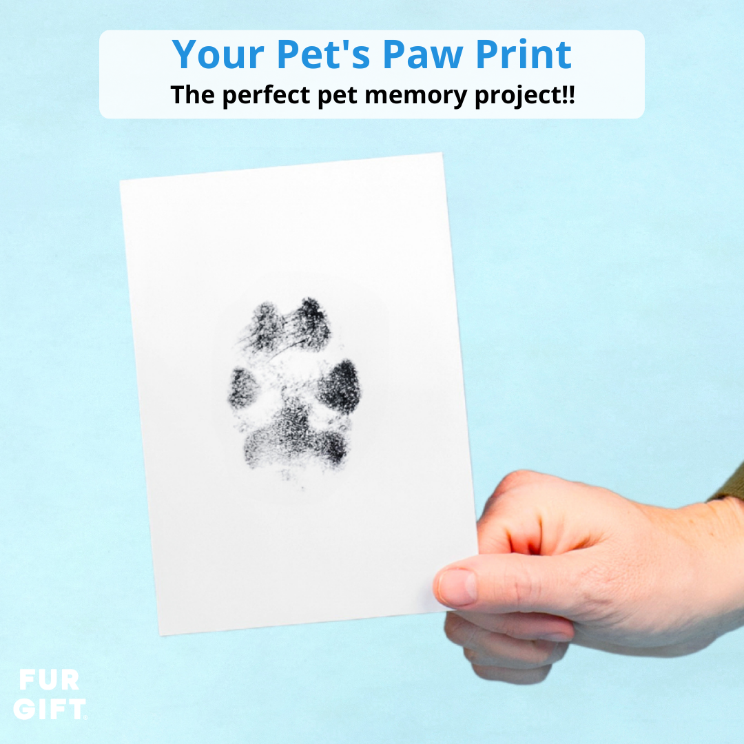 4 Pack of Paw Print Stamp Pads