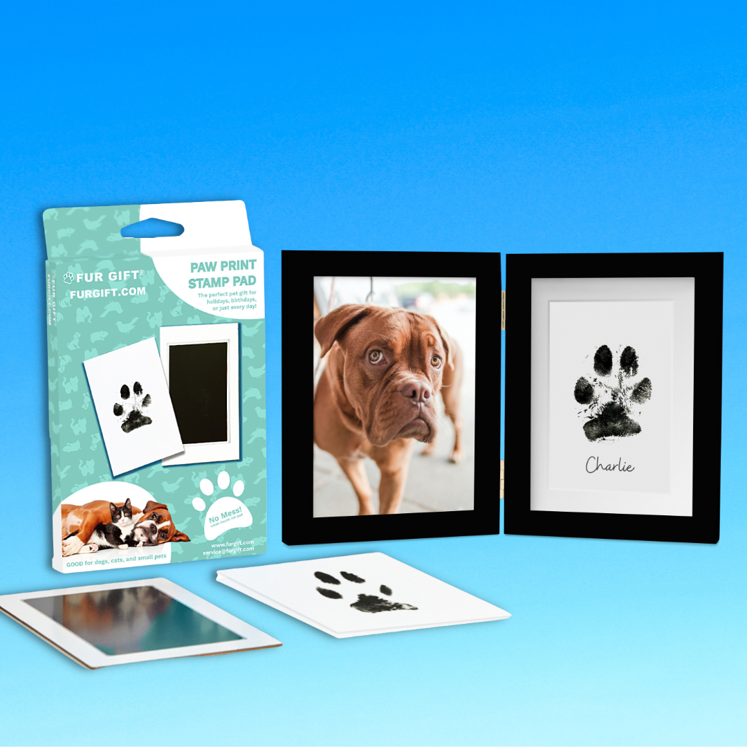 Pet Paw Print Black Frame