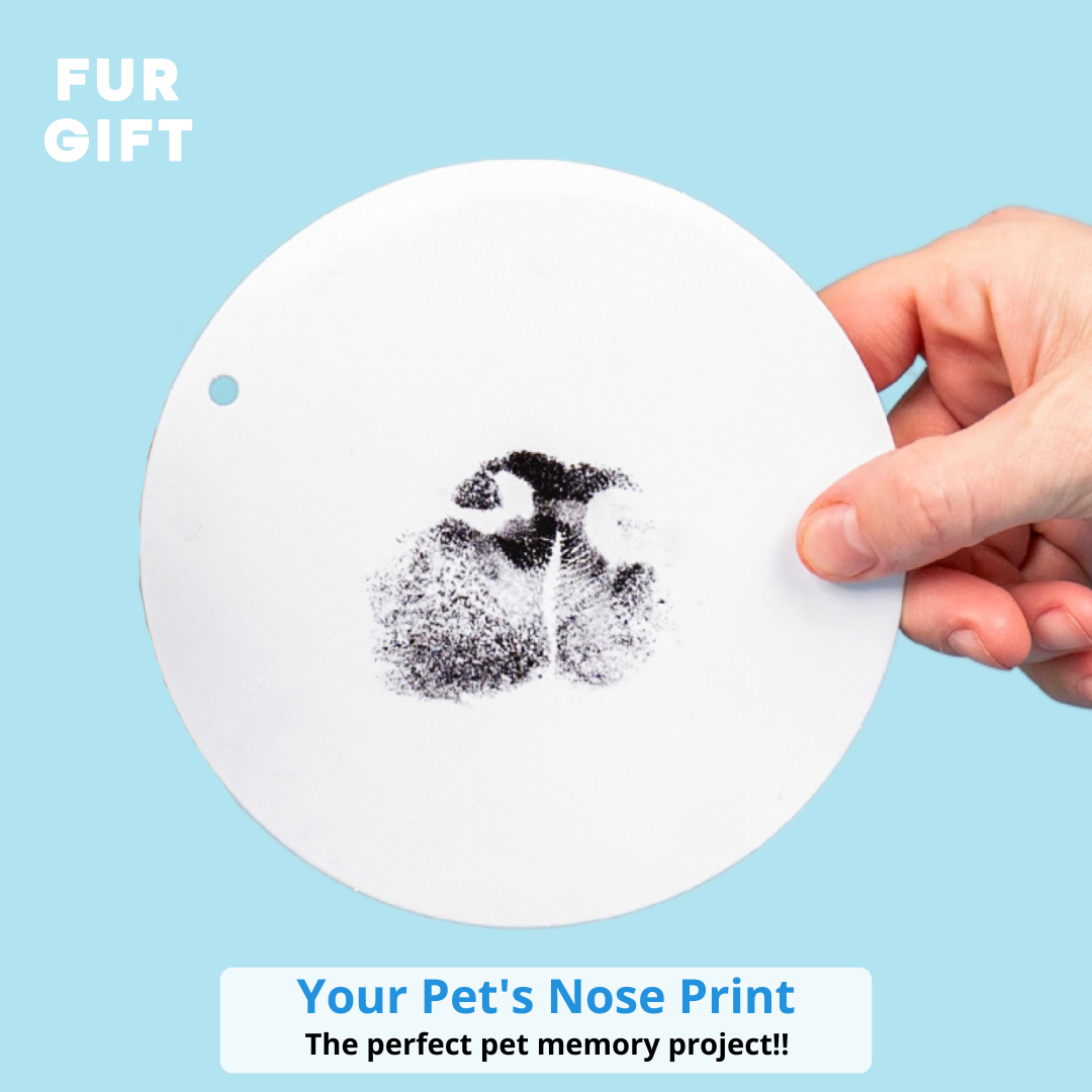 XL Size Paw Print & Nose Print Bundle