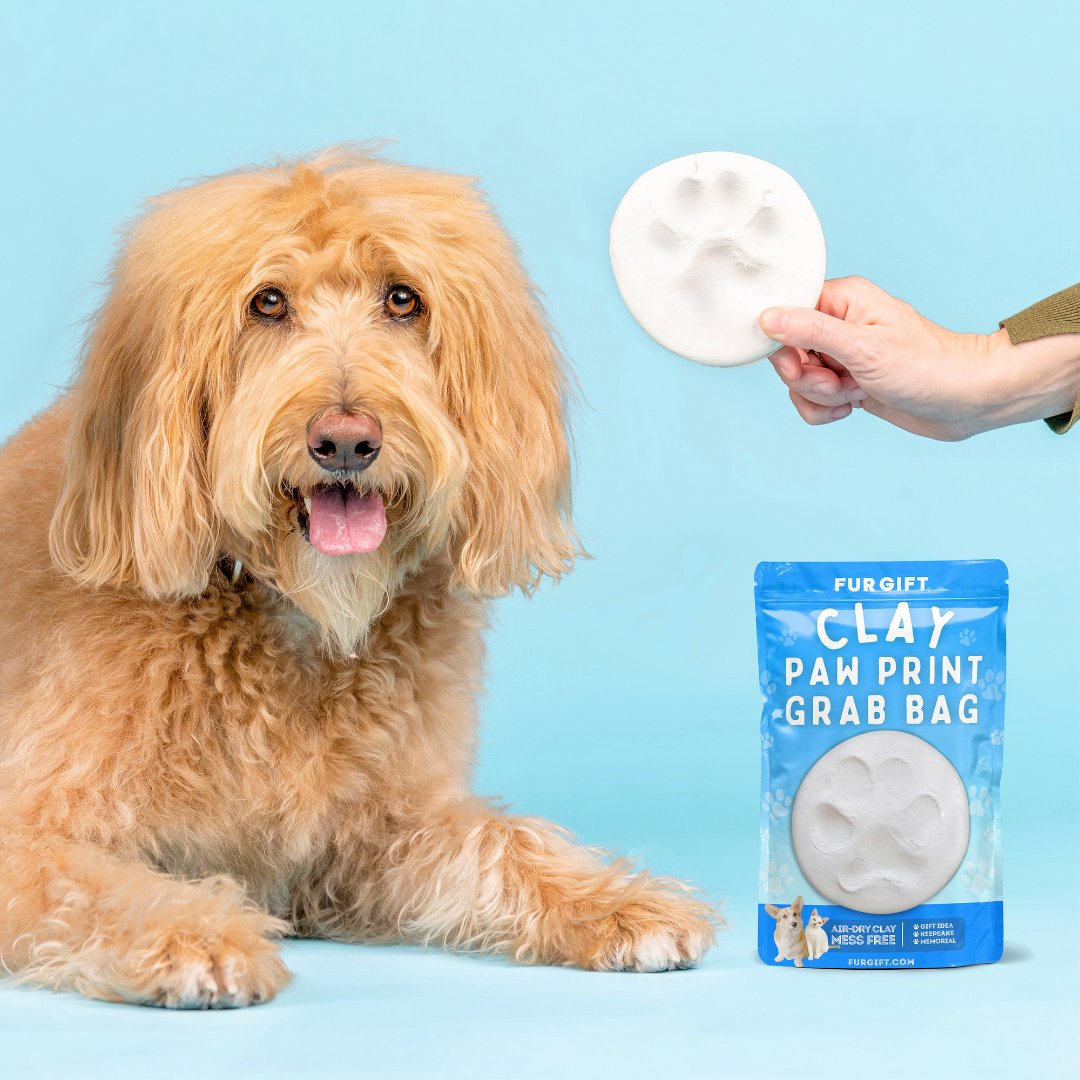 6 Pack of Clay Paw Print Grab Bag Kit