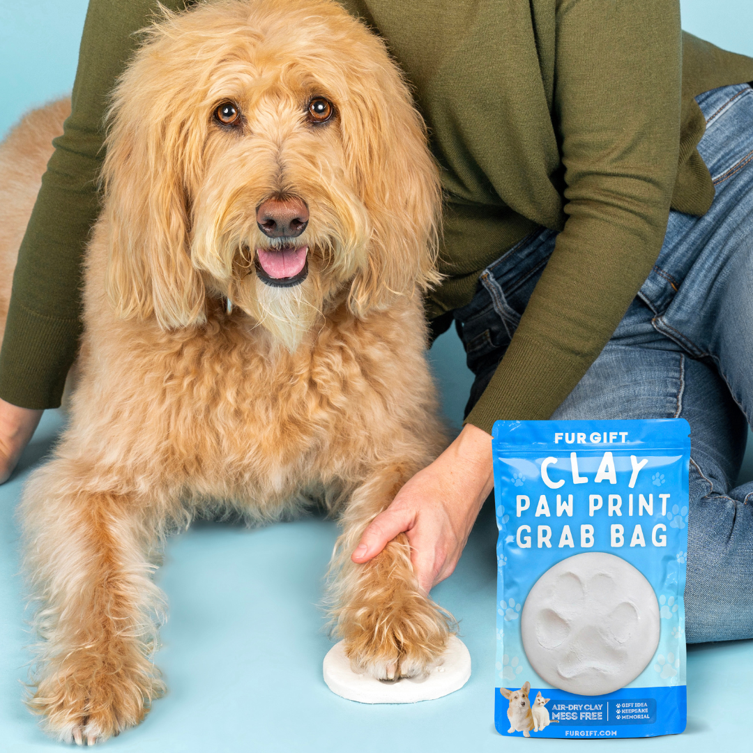 Clay Paw Print Grab Bag Kit