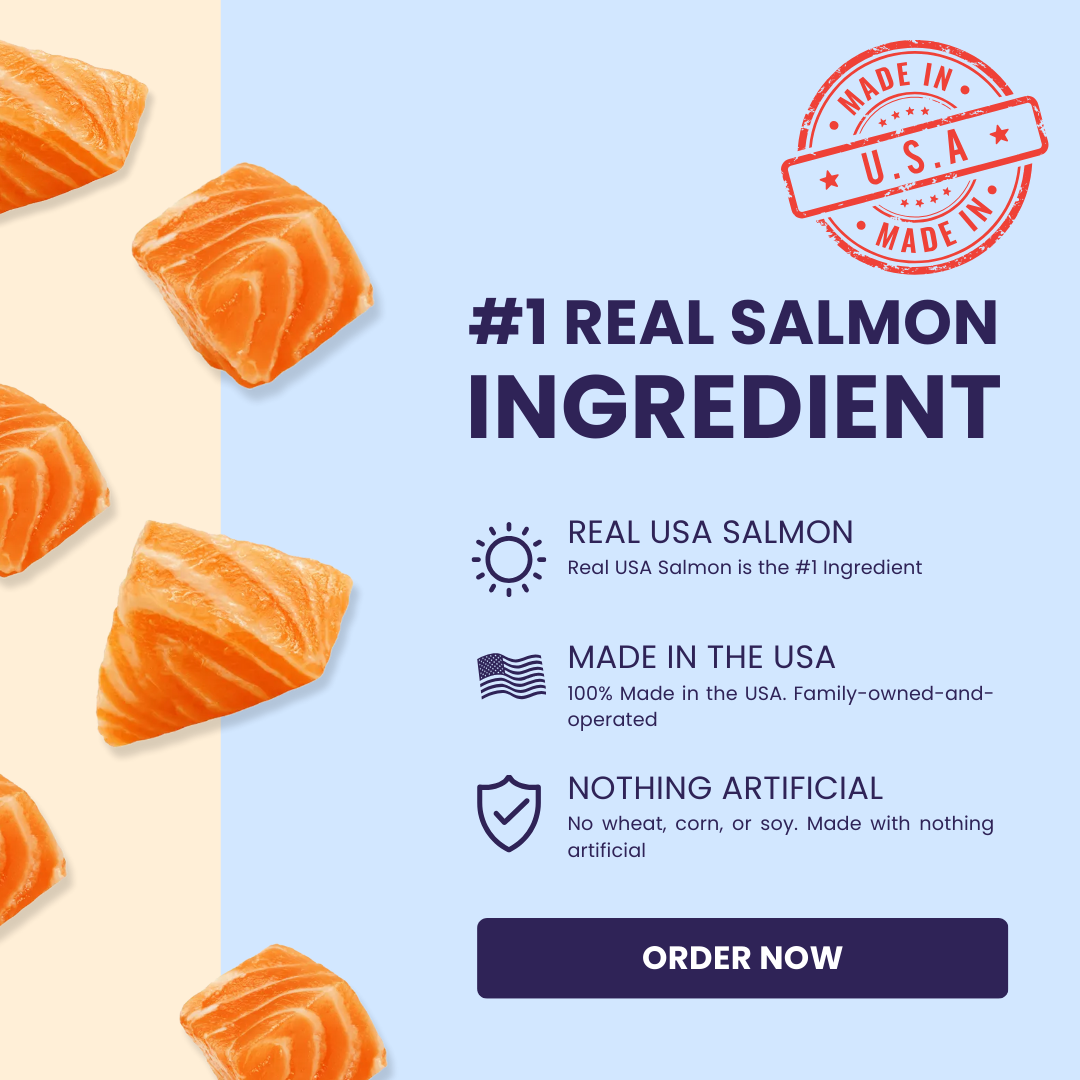 SALMON POWER BITES
