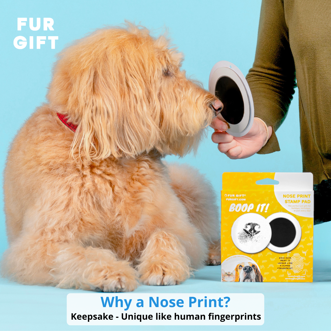 Plus Size Paw Print & Nose Print Bundle