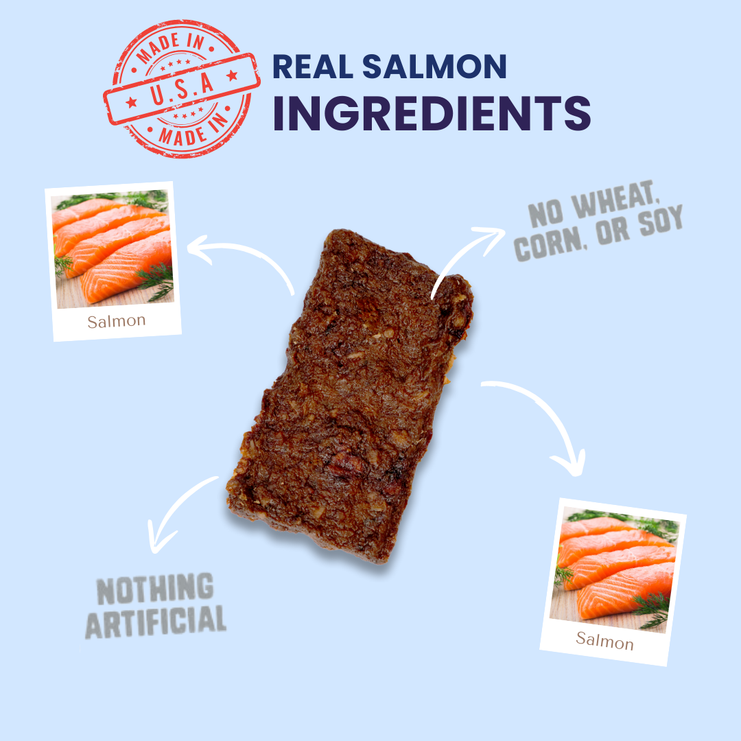 SALMON POWER BITES