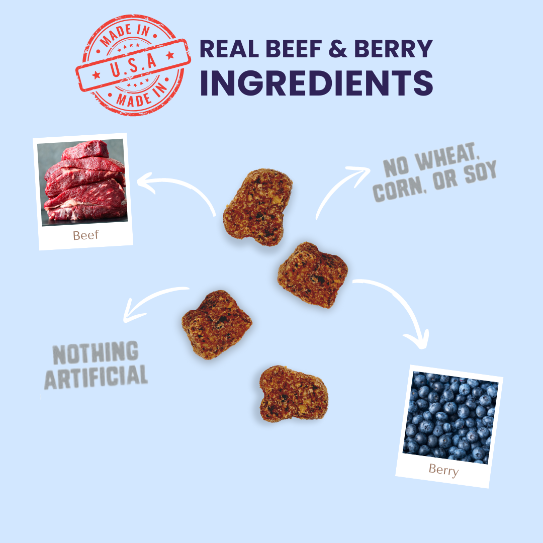 BEEF BERRY POWER BITES