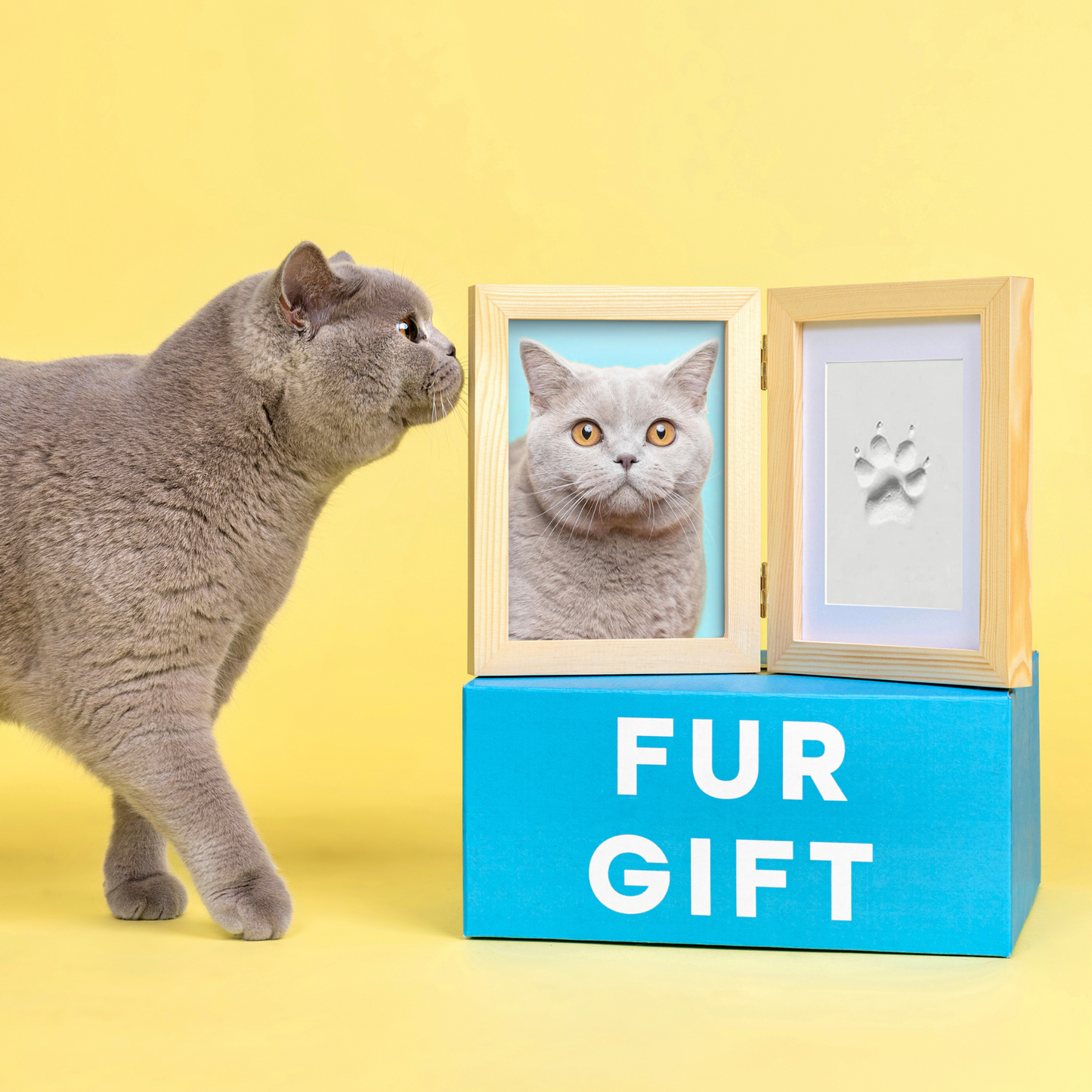 Clay Dog Paw Print Frame Kit