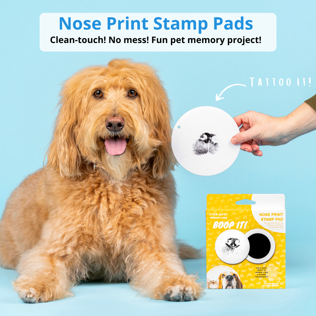 2 Pack of Nose Print Stamp Pads