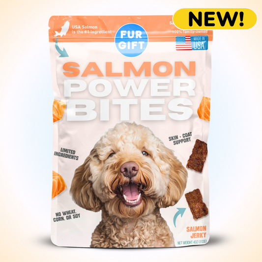 SALMON POWER BITES