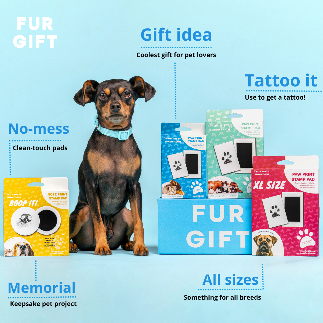 XL Paw Print Stamp Pads