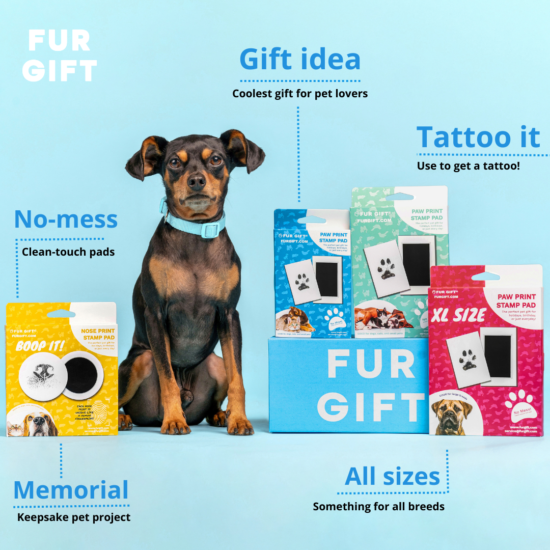 XL Size Paw Print & Nose Print Bundle