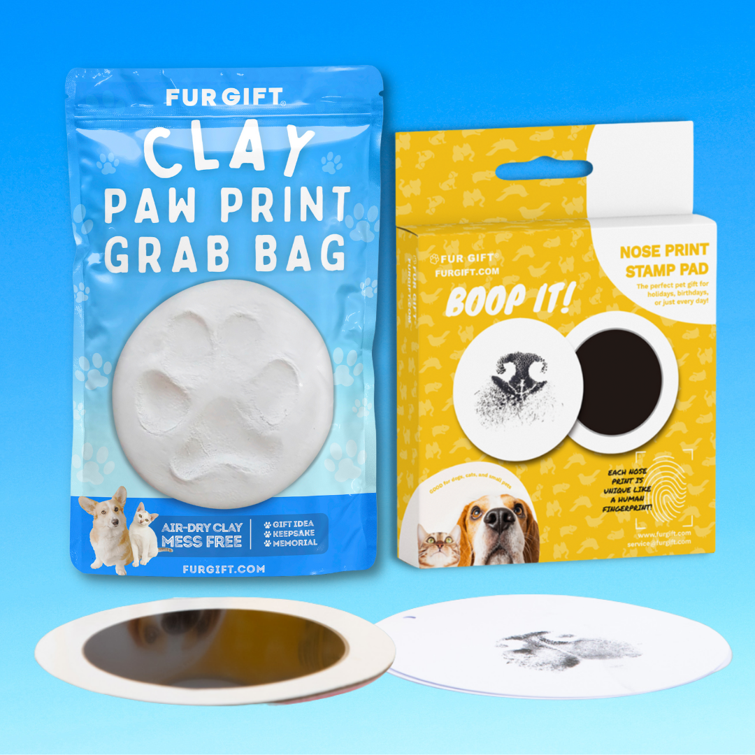 Clay Paw Print & Nose Print Bundle