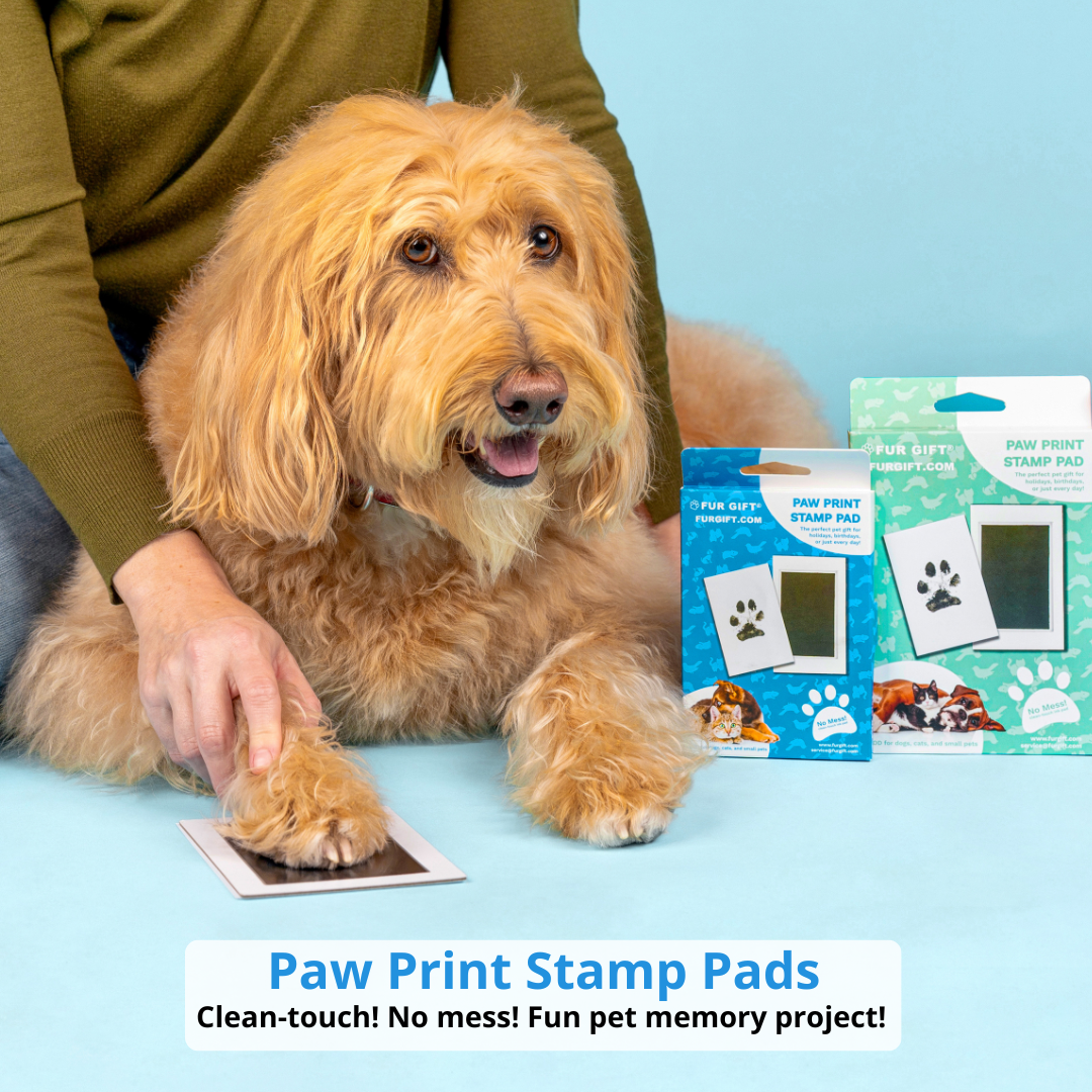 2 Pack of Paw Print Stamp Pads