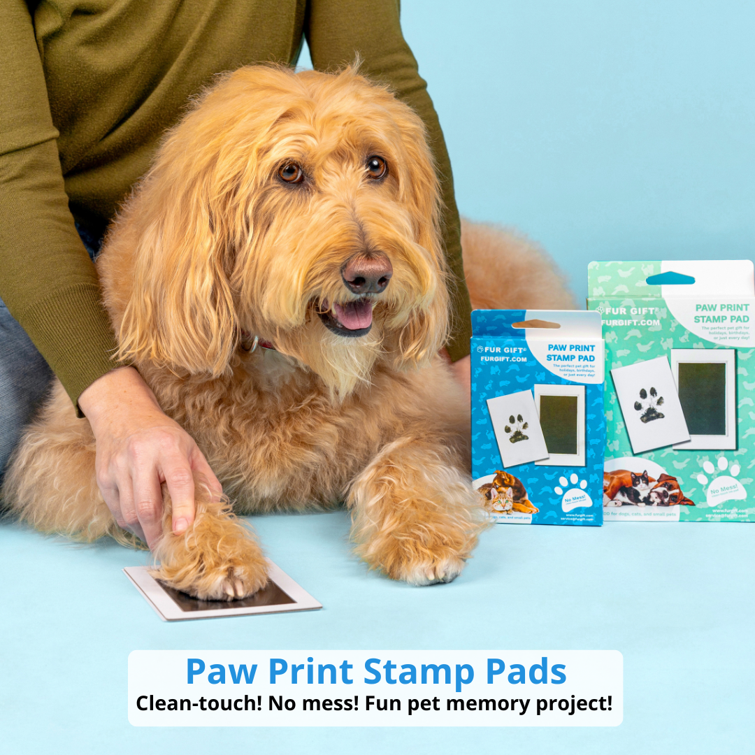 6 Pack of Paw Print Stamp Pads