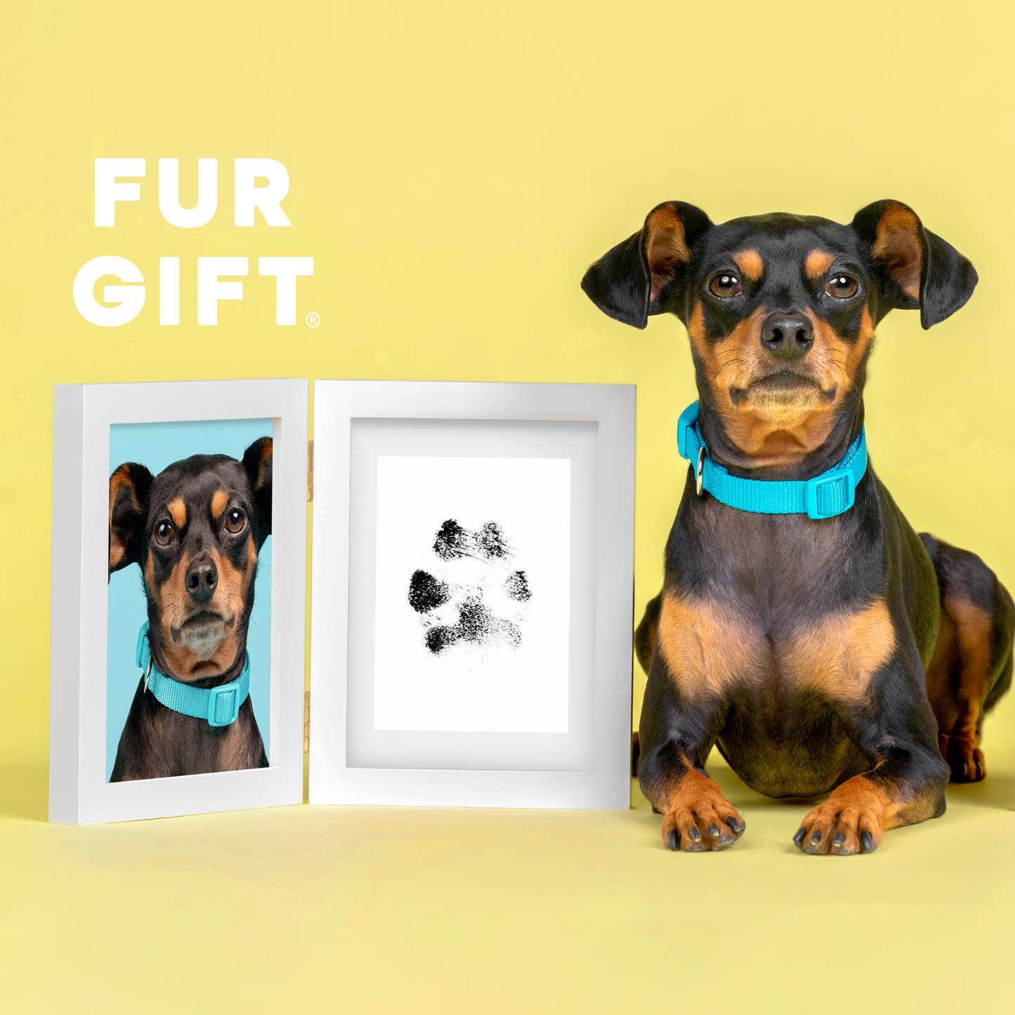 Pet Paw Print Wood Frame