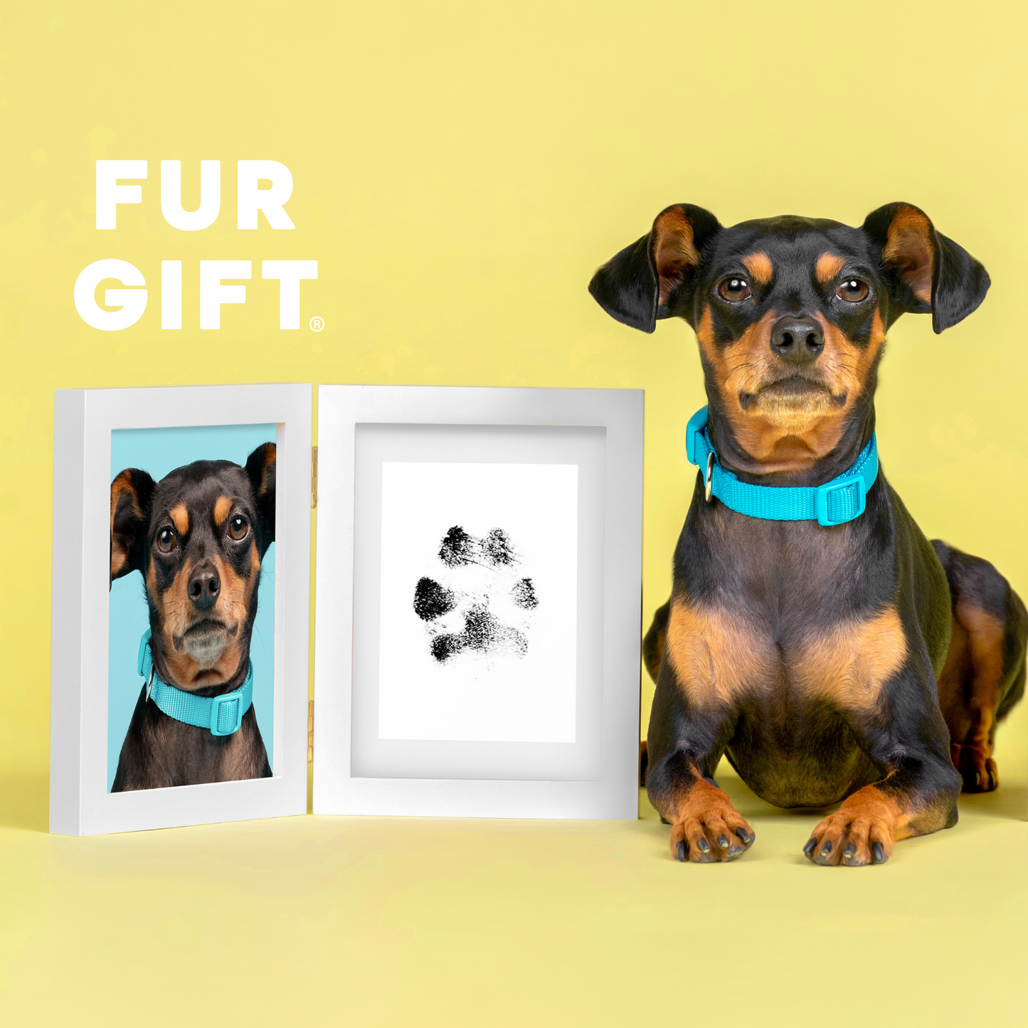 Dog Paw Print Frame