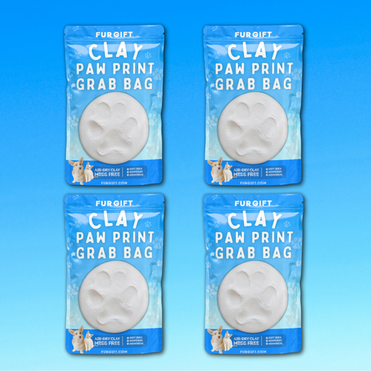 4 Pack of Clay Paw Print Grab Bag Kits