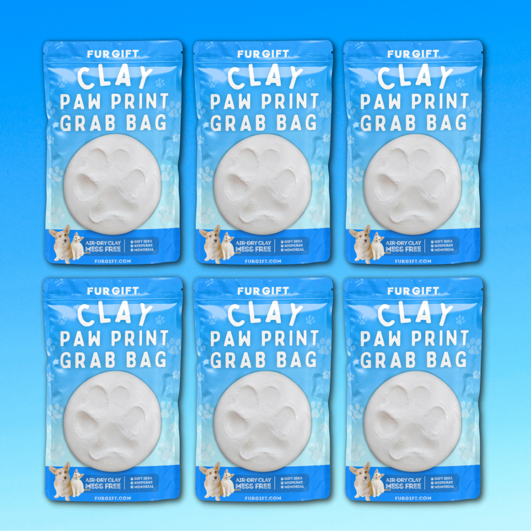 6 Pack of Clay Paw Print Grab Bag Kit