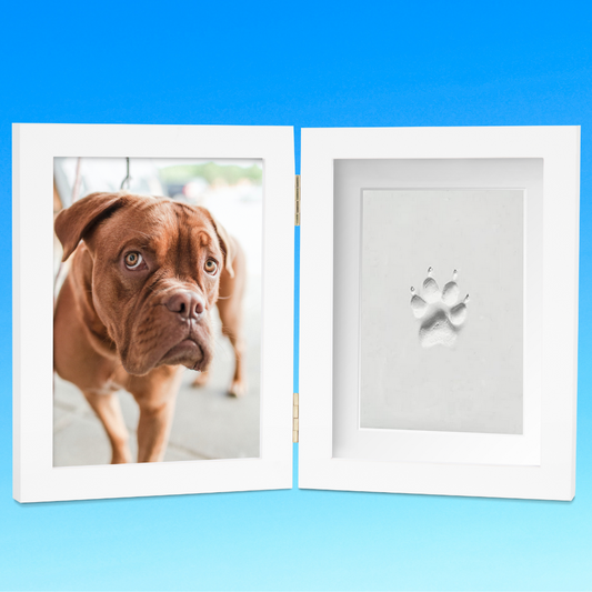 Pet Clay Paw Print White Frame Kit