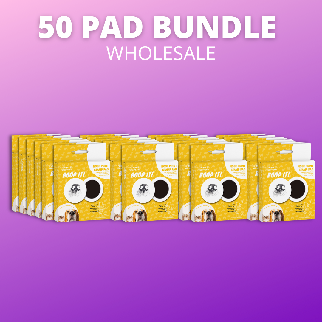Nose Pad Wholesale Bundles