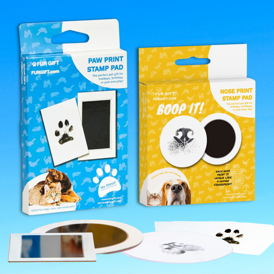 Paw imprint kit online