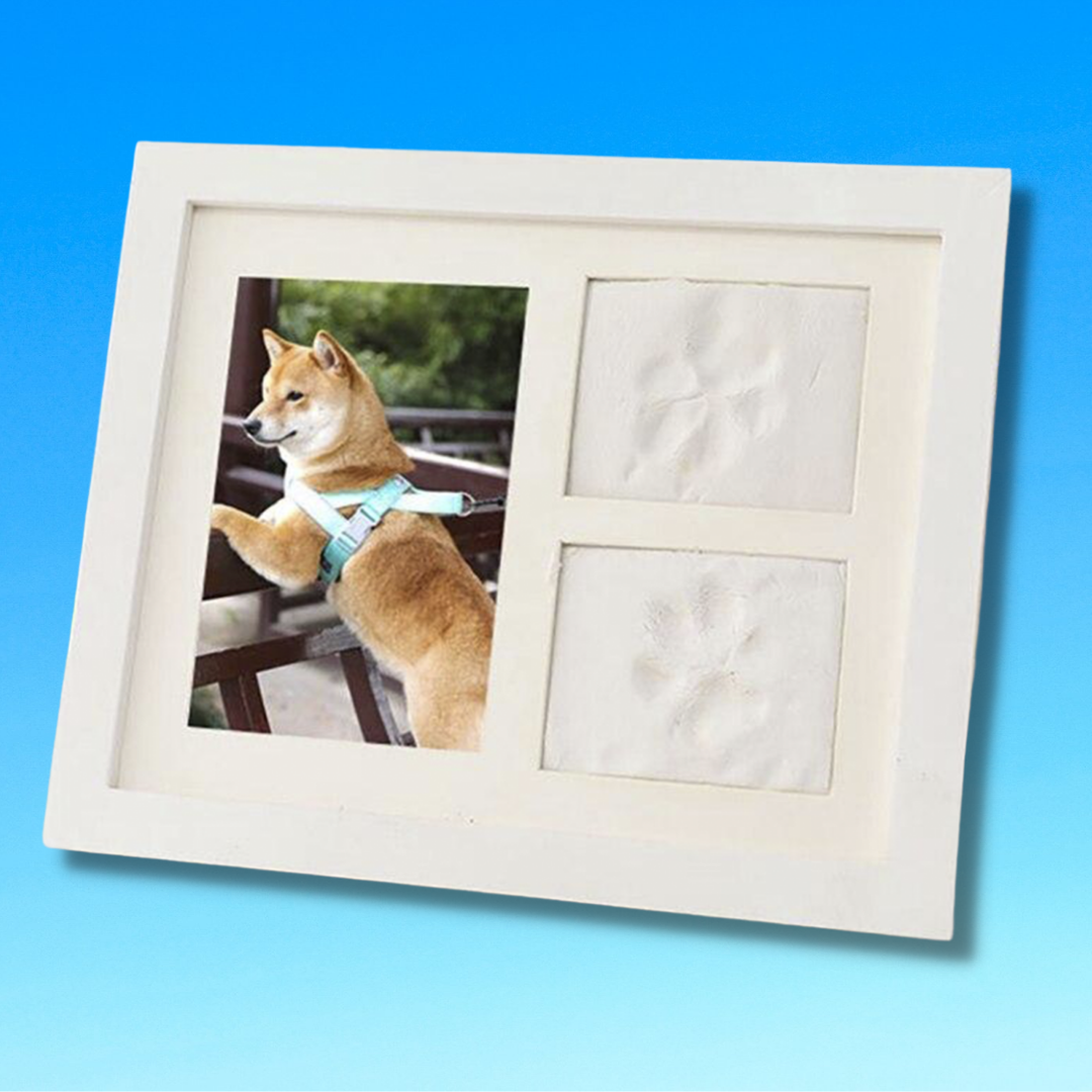 Dog Memory Paw Impression Kit