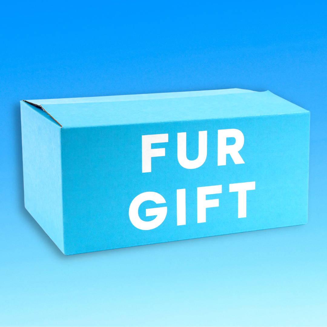 Dog Lover Surprise Gift Box