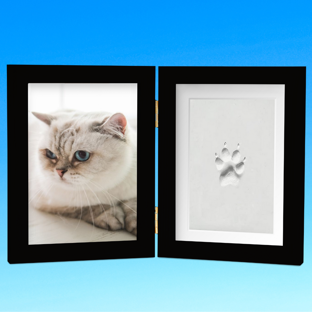 Clay Cat Paw Print Frame Kit
