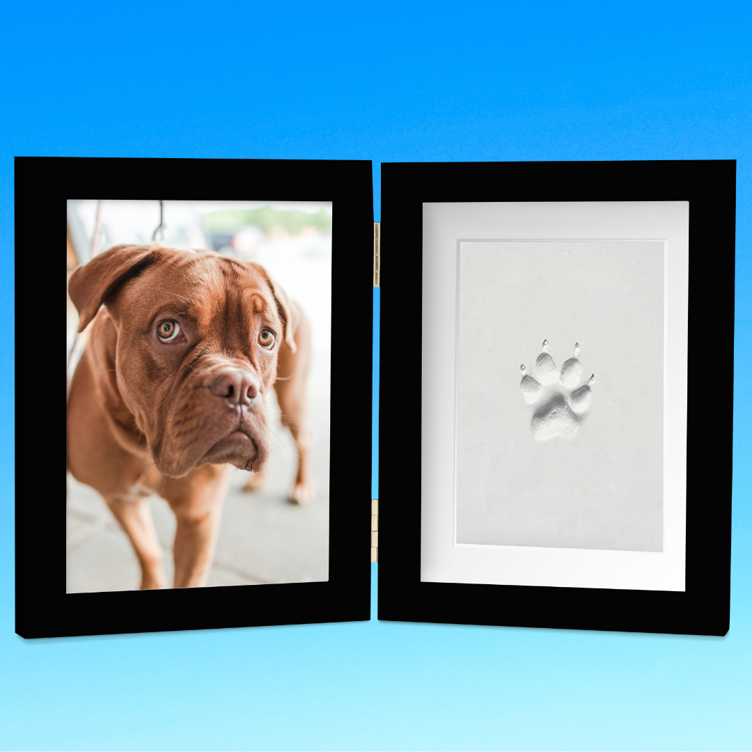 Clay Dog Paw Print Frame Kit