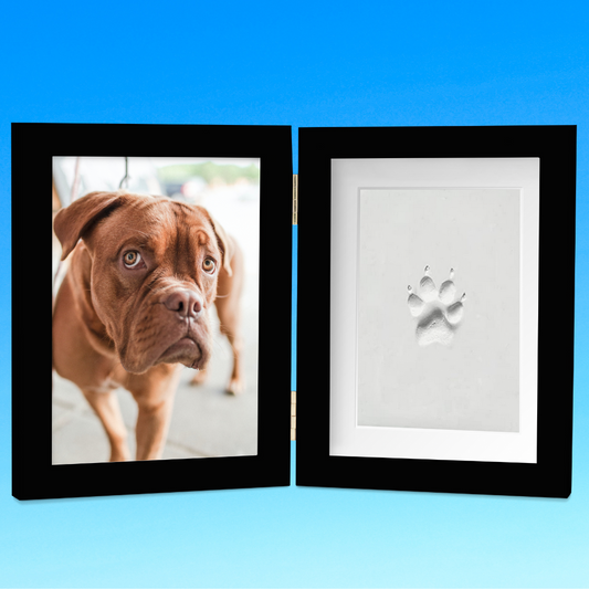 Pet Clay Paw Print Black Frame Kit