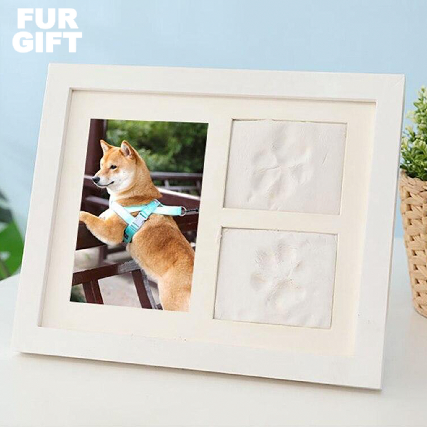 Dog Memory Paw Impression Kit