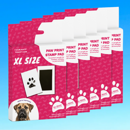 6 Pack of XL Paw Print Stamp Pad