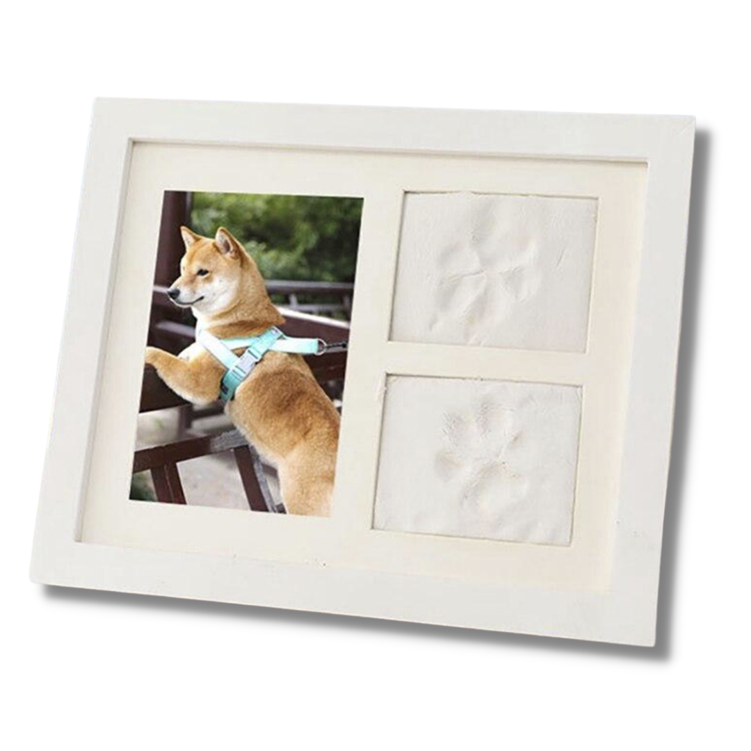 Pet Memory Paw Impression Kit