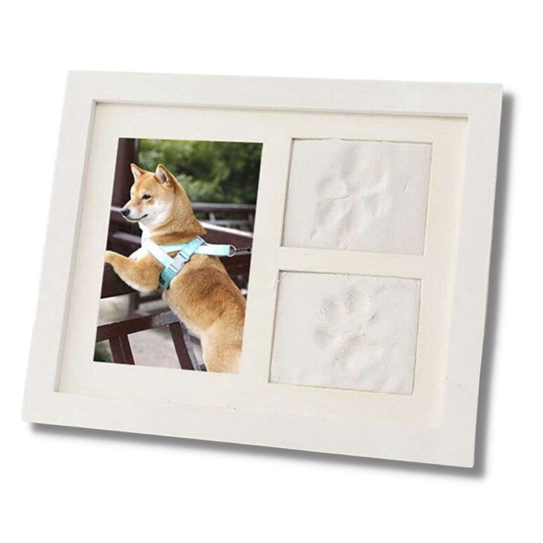 Dog Memory Paw Impression Kit