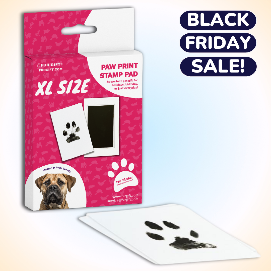 XL Dog Paw Print Stamp Pad