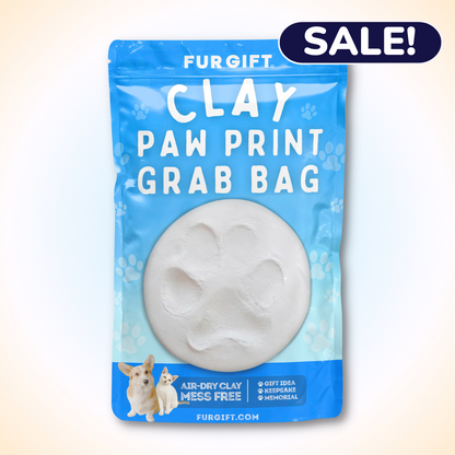 Clay Paw Print Grab Bag Kit