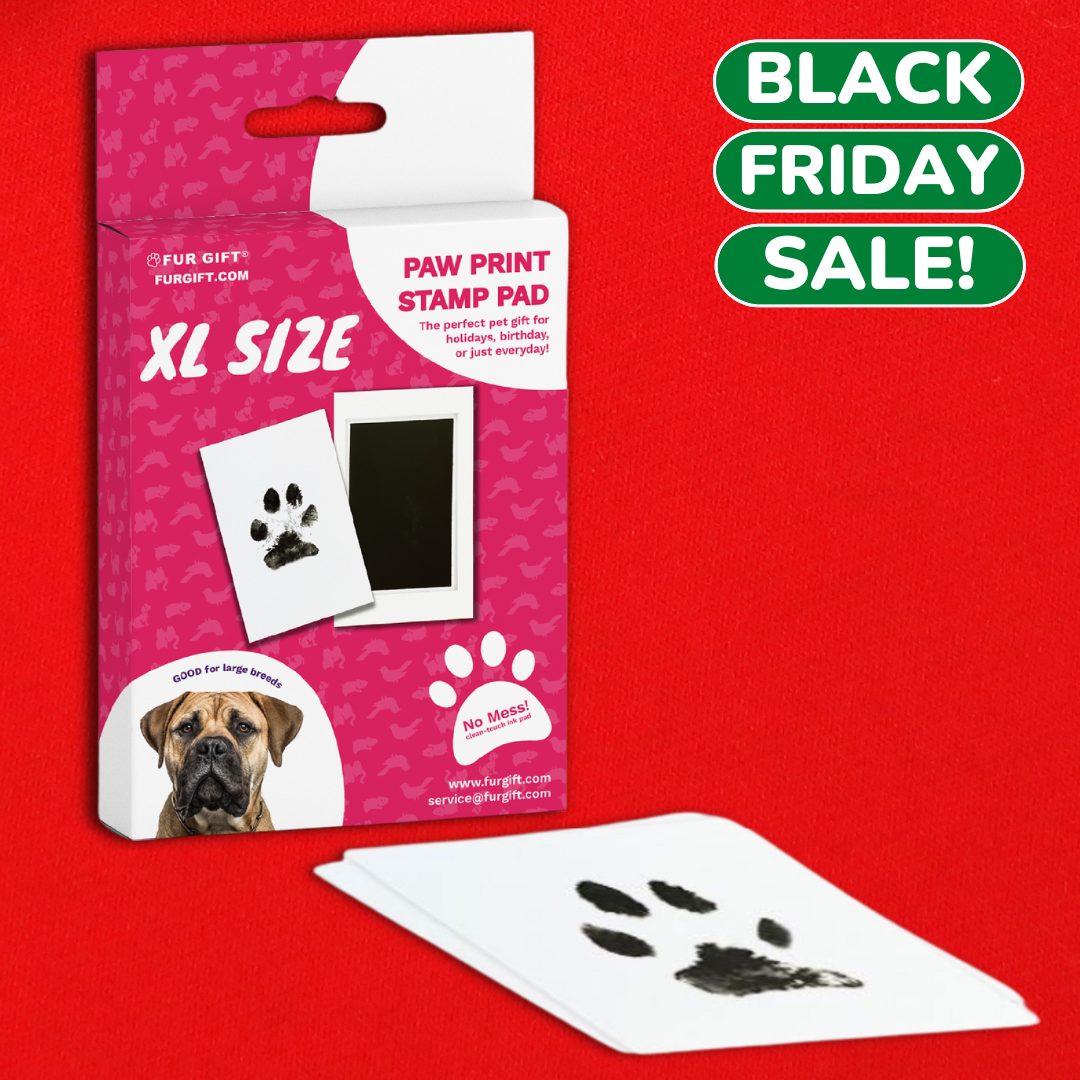 XL Dog Paw Print Stamp Pad