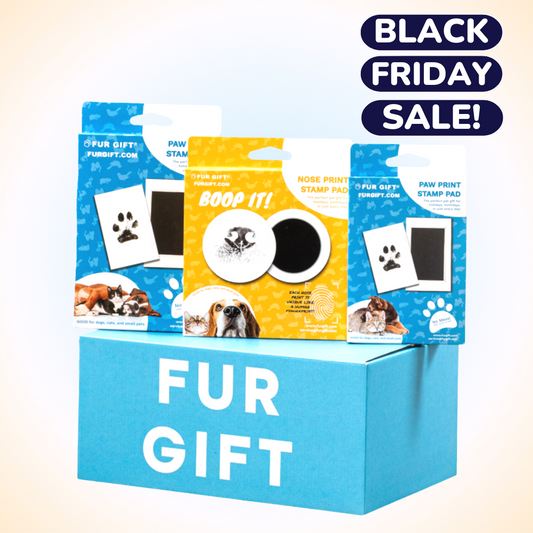 Dog Lover Surprise Gift Box