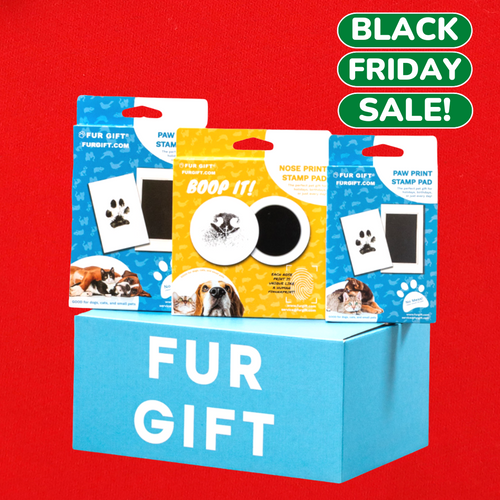 Dog Lover Surprise Gift Box