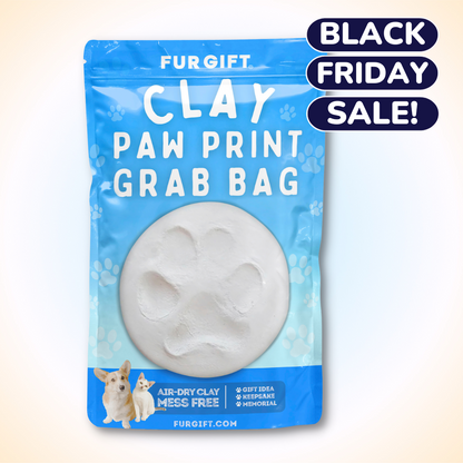 Clay Paw Print Grab Bag Kit