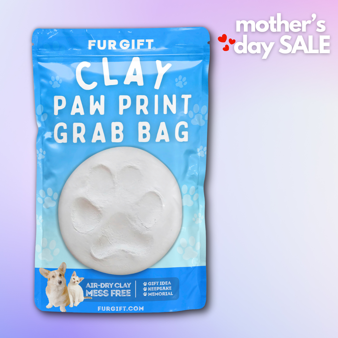 Clay Paw Print Grab Bag Kit