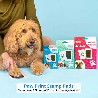 2 Pack of XL Paw Print Stamp Pad