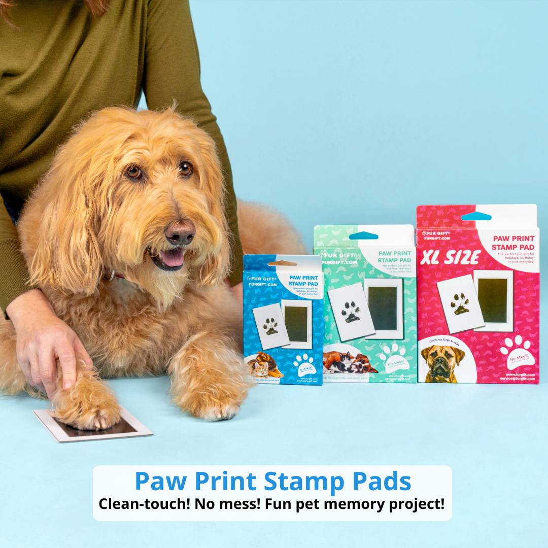 6 Pack of Plus Size Paw Print Stamp Pads
