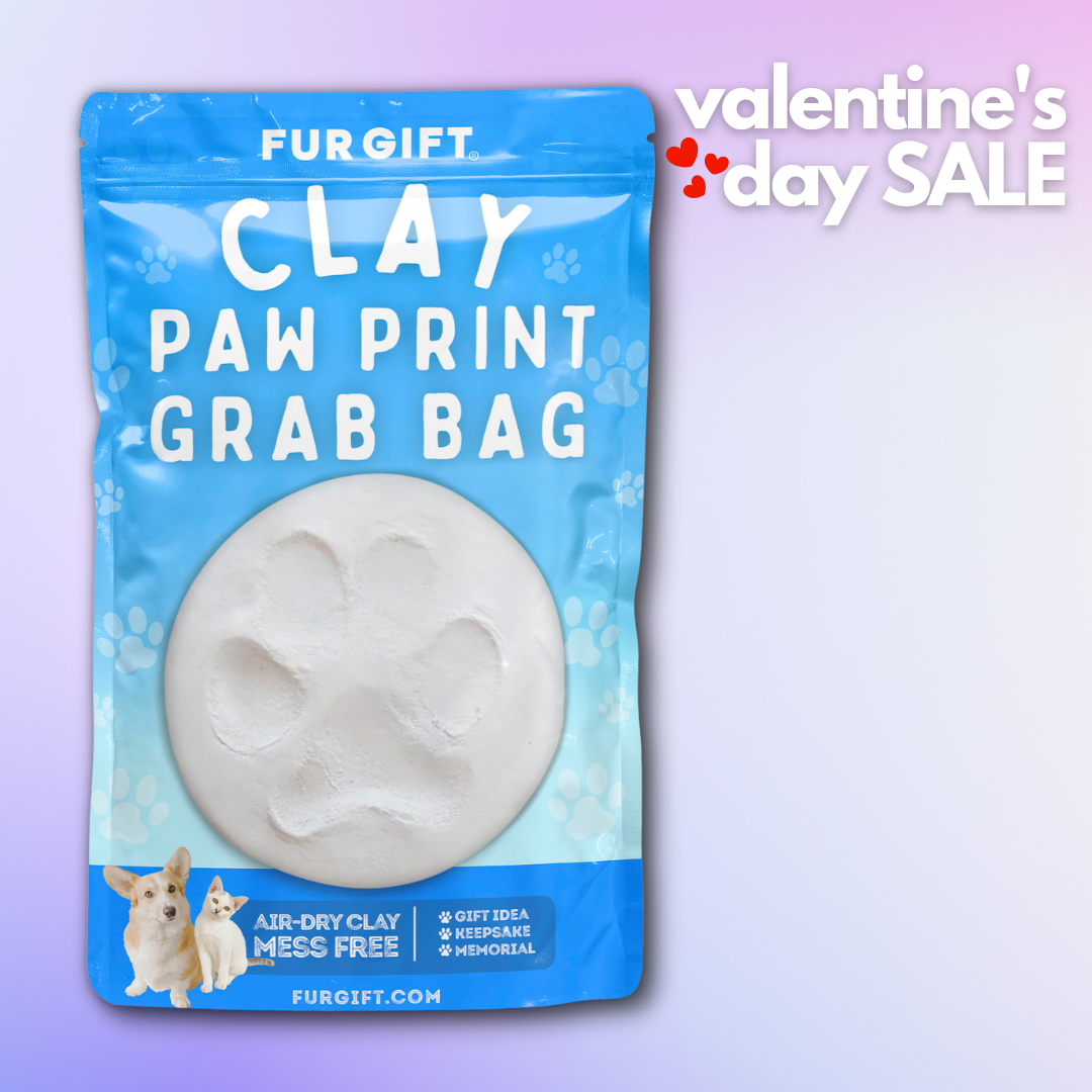 Clay Paw Print Grab Bag Kit