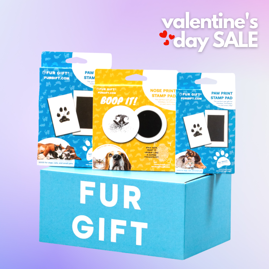 Dog Lover Surprise Gift Box