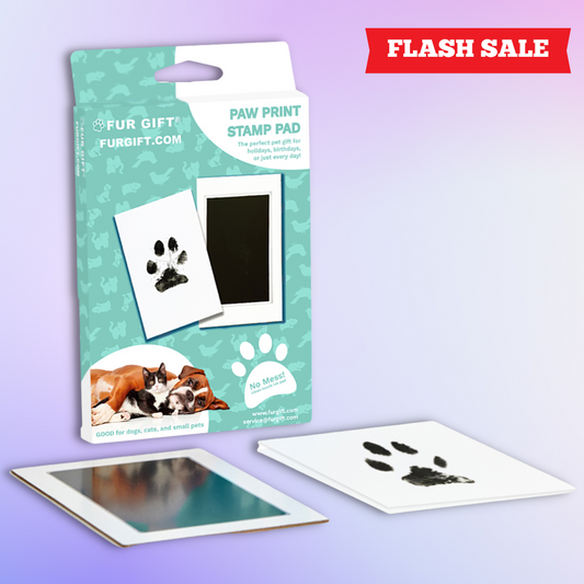 Plus Size Paw Print Stamp Pads