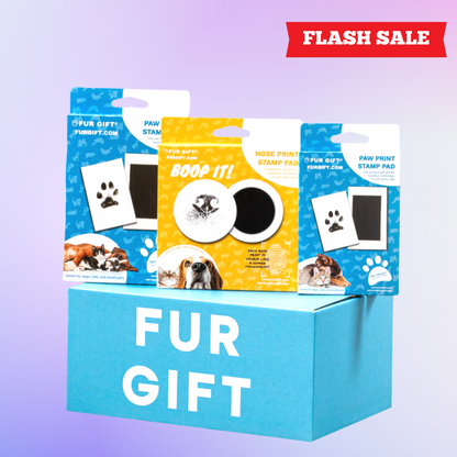 Dog Lover Surprise Gift Box